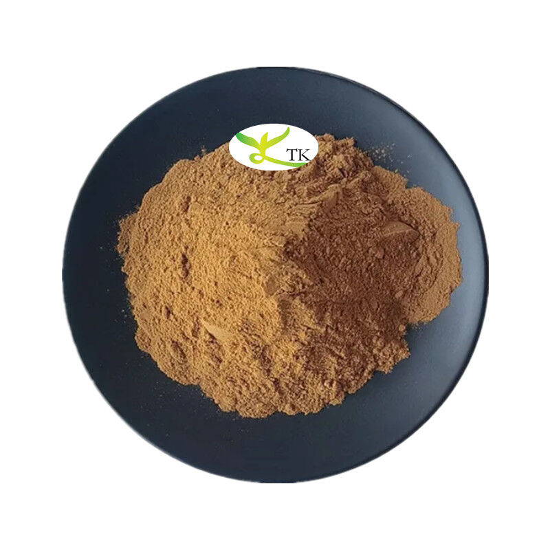 Natural Plant Extract Powder Gromwell Root Extract Powder 4:1 10:1