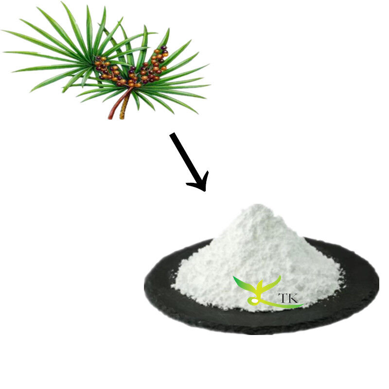 Wholesale Price Pure Natural Fatty Acid 25% 45% Saw Palmetto Extract Powder Bulk
