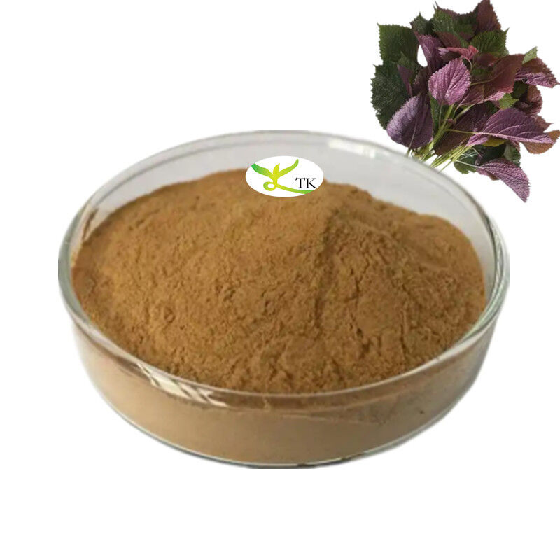 100% Natural Plant Extract Perillae Leaf Extract Perilla Extract Perilla Frutescen Leaf Extract Powder