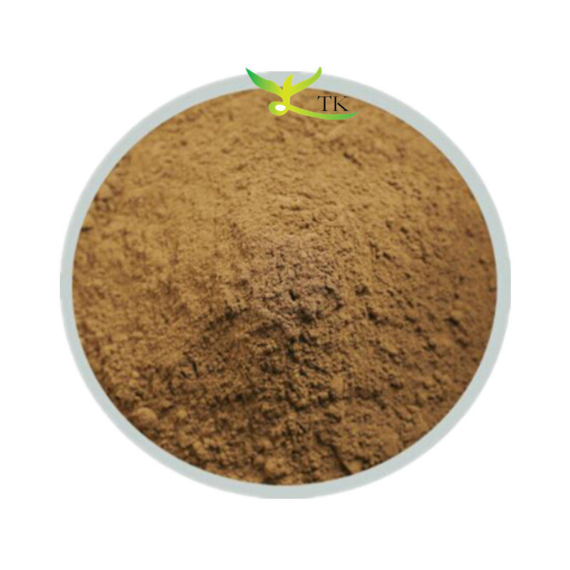 Pure Natural Mushroom Supplement Trametes Versicolor Extract Powder Turkey Tail Mushroom Extract Powder