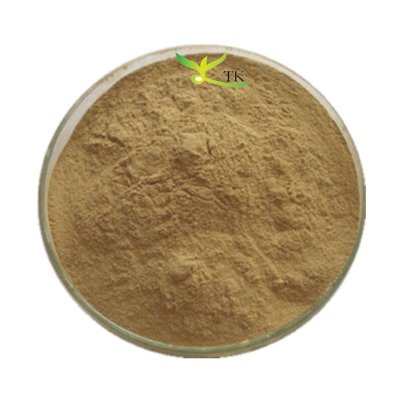 Wholesale Price Natural Kochia Scoparia Extract Powder 4:1 10:1