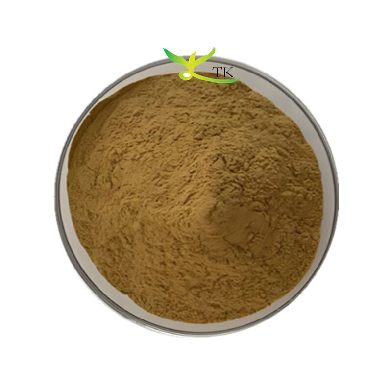 Factory Supply Bacopa Monnieri Extract 40% Bacopasides Powder Brahmi Extract Powder