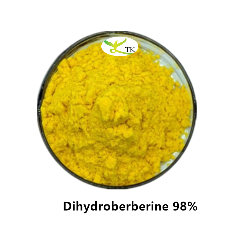 High Purity Dihydroberberine DHB CAS 483-15-8 Dihydroberberine Powder 98%