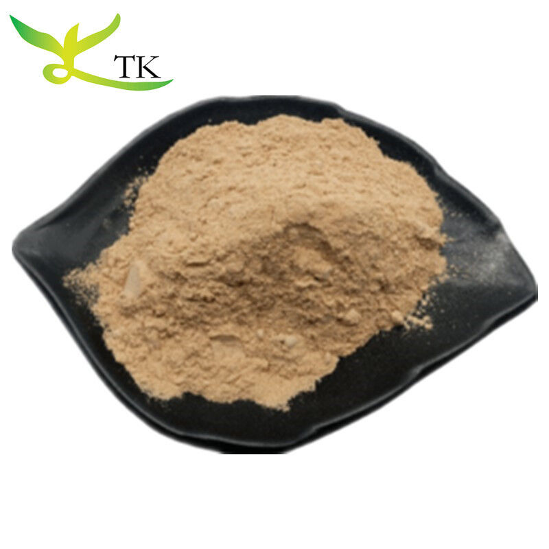 Hot Sale Natural True Ceylon Cinnamon Bark Powder From Sri Lanka Ceylon Cinnamon Powder Ceylon Cinnamon Sticks OEM