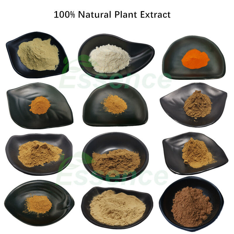 18 Years Experience Kosher Extract Manufacturer Supply Natural Herbal Extract Powder Plant Extract Powder