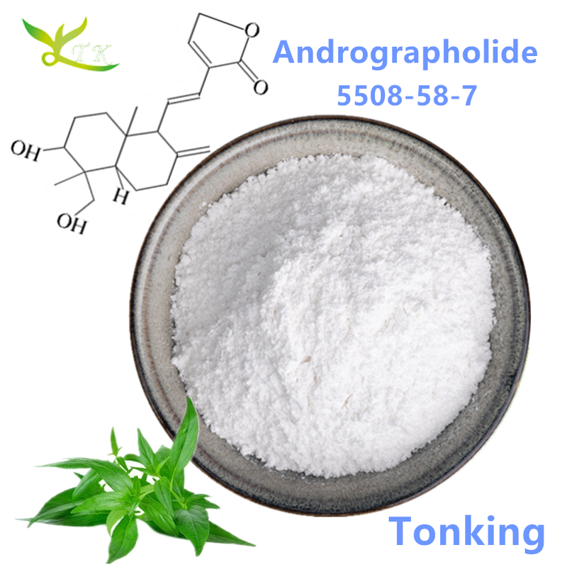 Plant Extract 98% Andrographis Paniculata Extract Andrographolide Powder CAS 5508-58-7