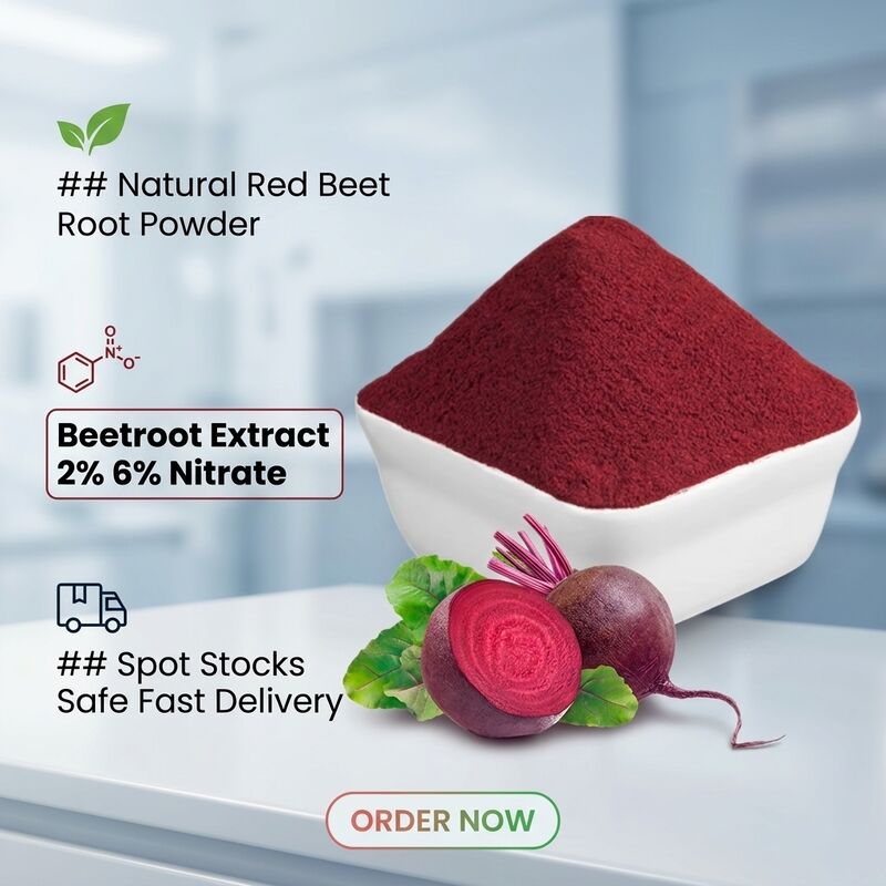 High Quality Beetroot Powder Food Grade Natural Red Beet Root Extract 2% 6% Natural Nitrate Beetroot Extract Powder