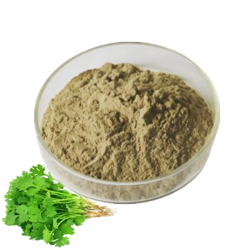 Food Grade 100% Pure Natural Coriander Leaf Powder Coriander Powder Spice Coriander Root Powder