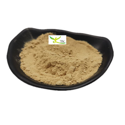 Best Price Food Grade Pumpkin Seed Protein Powder 80% Pumpkin Seed extract Powder