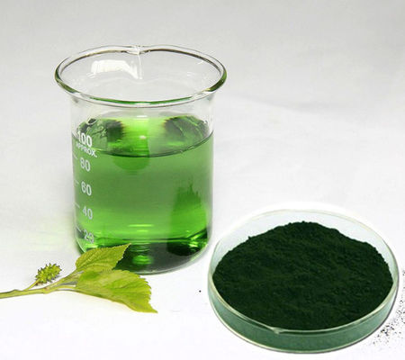 Manufacturer Wholesale Price Natural Mulberry Extract Pure Chlorophyll Powder bulk