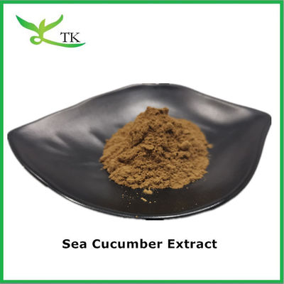 Pure Natural Supplement Sea Cucumber Extract Powder Polypeptide Peptide