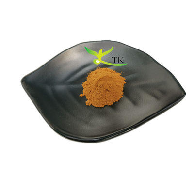Natural Herbal Extract Vitex Agnus Castus Extract Vitex Agnus Castus Powder Price