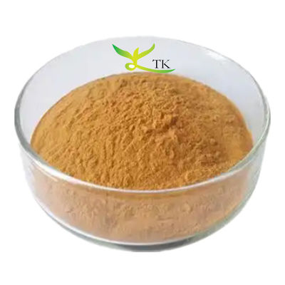 Wholesale Price 100% Natural Verbascum Thapsus Extract Powder 10:1