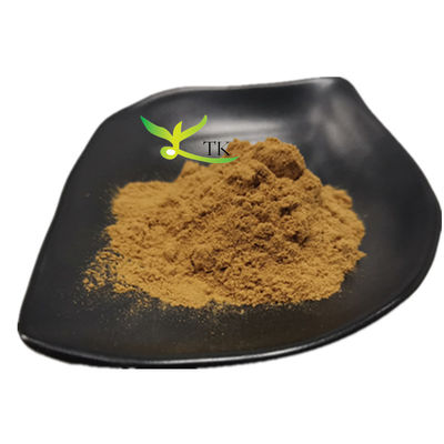 Natural Fucus Vesiculosus Extract Fucoxanthin Powder Fucoxanthin Price