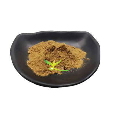 100% Natural Food Grade Salsola Collina Extract Salsola Collina Powder Price