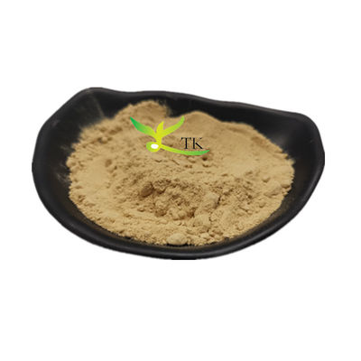 100% Natural Eucommia Ulmoides Extract Powder Eucommia Leaves Extract Price