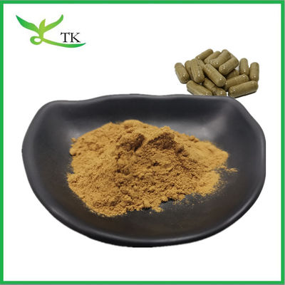 Best Price Natural Brown Seaweed Extract Kelp Extract Fucoidan Powder