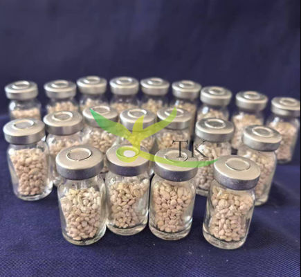 Best Price Top Quality Common Carp Pituitary ( CARP PG ) For Fish Breeding