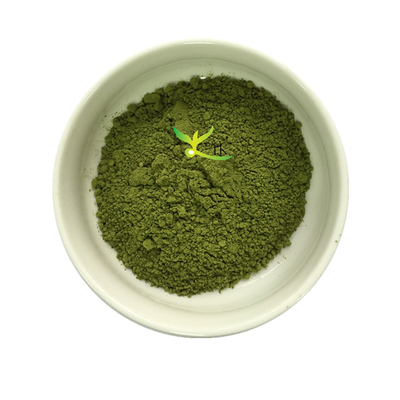 Best Price Pure Natural Organic Moringa Leaf Extract Powder Moringa Oleifera Extract