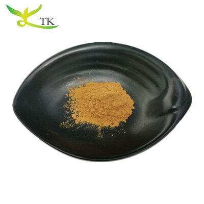 Wholesale Price Natural Food and Cosmetic Grade Secale Cereale Rye Seed Extract Powder 4:1 10:1