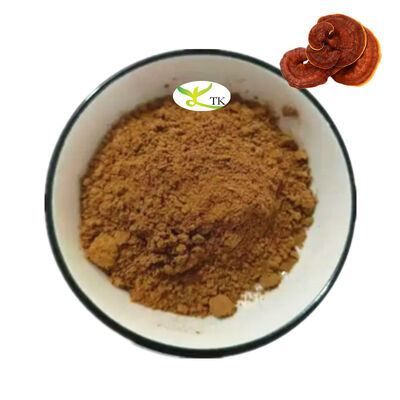 Wholesale Bulk Natural Lingzhi Mushroom Extract Powder Reishi Mushroom Extract Powder Polysaccharides