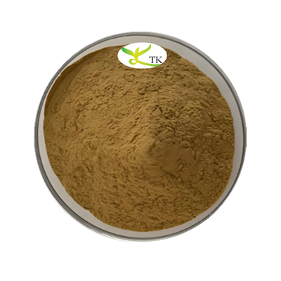 Chinese Herb Andrographis Paniculata Extract Andrographolide 20% 98% CAS 5508-58-7 Andrographolide