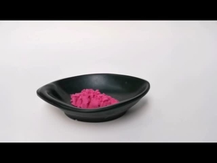 Wholesale Bulk Soluble Cranberry Extract Powder Anthocyanin 25% OPC Powder