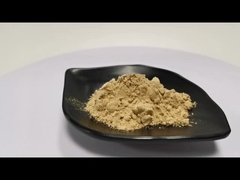 Natural Plant Extract Powder
