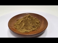 Wholesale Price 100% Natural Coptis Chinensis Extract 10:1 20:1 In Stock