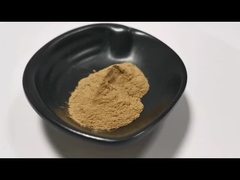 Food Grade Best Price Aloe Vera Powder Natural Aloe Vera Extract in Stock