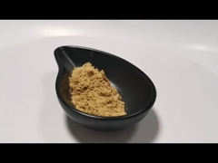 Natural Plant Extract Powder Mushroom Extract Powder