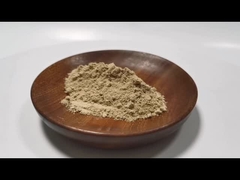 Panax Ginseng Extract Powder