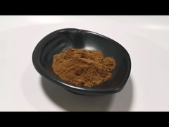 Brown powder plant extract powder