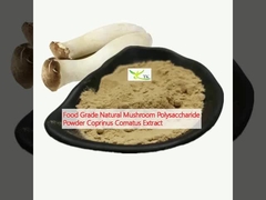 Food Grade Natural Mushroom Polysaccharide Powder Coprinus Comatus Extract