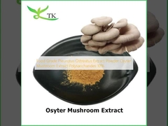 Food Grade Pleurotus Ostreatus Extract Powder Osyter Mushroom Extract Polysaccharides 10%
