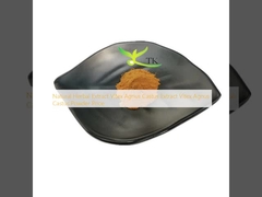 Natural Herbal Extract Vitex Agnus Castus Extract Vitex Agnus Castus Powder Price