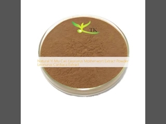 Natural Yi Mu Cao Leonurus Motherwort Extract Powder Leonurus Cardiaca Extract