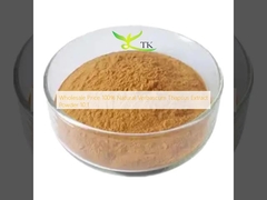 Wholesale Price 100% Natural Verbascum Thapsus Extract Powder 10:1