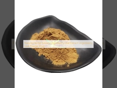 Natural Herbal Extract Lingonberry Leaf Extract Lingonberry Leaf Powder Price