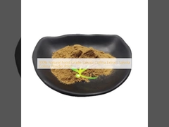 100% Natural Food Grade Salsola Collina Extract Salsola Collina Powder Price