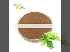 Wholesale Price Food Grade Morus Alba Extract Morus Alba Leaf Powder