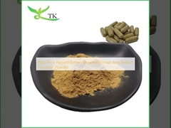 Best Price Natural Brown Seaweed Extract Kelp Extract Fucoidan Powder