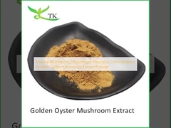 Natural Mushroom Supplement Pleurotus Citrinopileatus Golden Oyster Mushroom Extract Powder