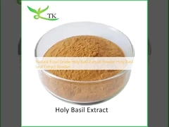 Natural Food Grade Holy Basil Extract Powder Holy Basil Leaf Extract Powder