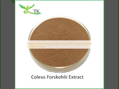 Natural Plant Extract Coleus Forskohlii Extract Powder Forskolin Price