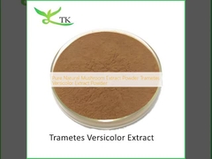 Pure Natural Mushroom Extract Powder Trametes Versicolor Extract Powder