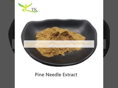 Wholesale Natural Plant Extract Powder Pine Needle Extract Powder Food Grade