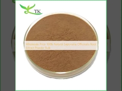 Wholesale Price 100% Natural Saponaria Officinalis Root Extract Powder Bulk