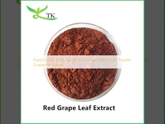 Food Grade 100% Natural Red Grape Leaf Extract Powder Grapevine Extract