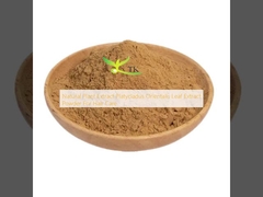 Natural Plant Extract Platycladus Orientalis Leaf Extract Powder For Hair Care